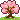 A small sakura tree